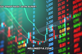Hisse Senedi Nasıl Satın Alınır?