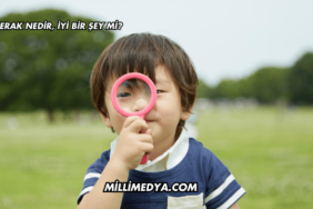 Merak Nedir, İyi Bir Şey mi?