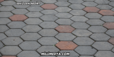 Sekizgen Nedir?
