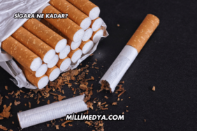 Sigara Ne Kadar?