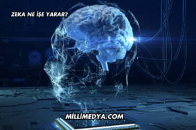 Zeka Ne İşe Yarar?