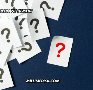 360 Pantolon Ne Demek?