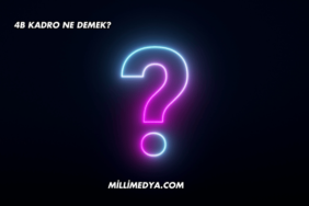 4B Kadro Ne Demek?
