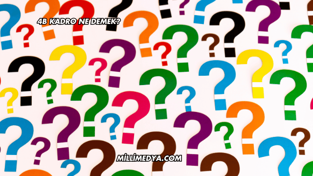 4B Kadro Ne Demek?