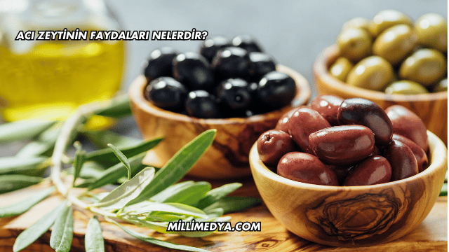 Acı Zeytinin Faydaları Nelerdir?