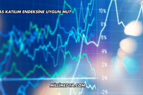 Alfas Katılım Endeksine Uygun mu?