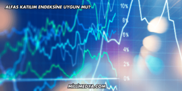 Alfas Katılım Endeksine Uygun mu?
