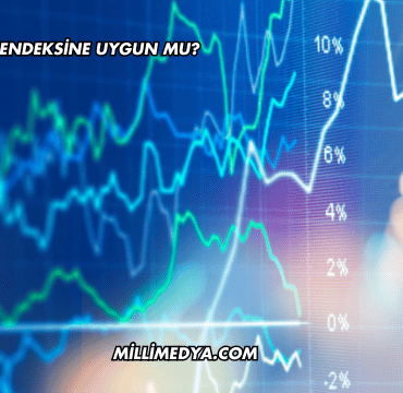 Alfas Katılım Endeksine Uygun mu?