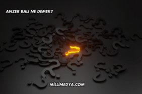 Anzer Balı Ne Demek?
