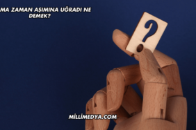 Arama Zaman Aşımına Uğradı Ne Demek?