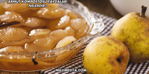 Armut Kompostosu Faydaları Nelerdir?