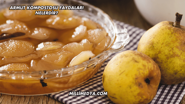 Armut Kompostosu Faydaları Nelerdir?