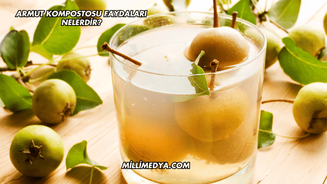 Armut Kompostosu Faydaları Nelerdir?