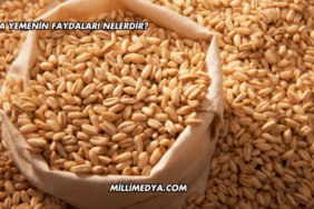 Arpa Yemenin Faydaları Nelerdir?