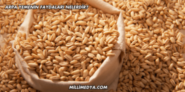 Arpa Yemenin Faydaları Nelerdir?