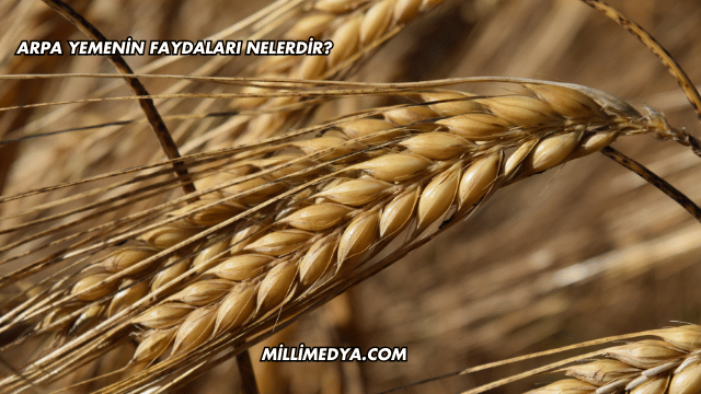 Arpa Yemenin Faydaları Nelerdir?