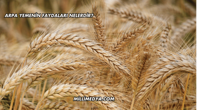 Arpa Yemenin Faydaları Nelerdir?