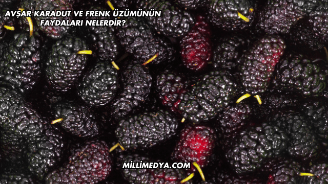 Avşar Karadut ve Frenk Üzümünün Faydaları Nelerdir?