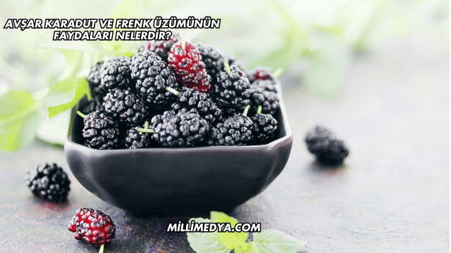 Avşar Karadut ve Frenk Üzümünün Faydaları Nelerdir?