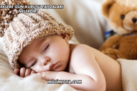 Bebeklere Gün Kurusu Faydaları Nelerdir?