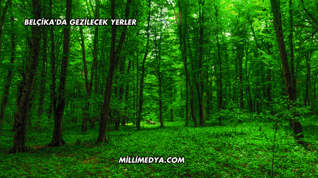 Belçika'da Gezilecek Yerler