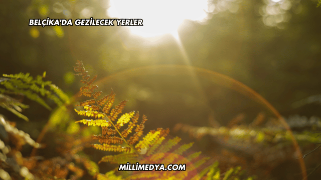 Belçika'da Gezilecek Yerler