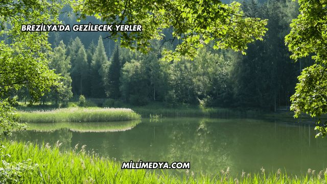 Brezilya'da Gezilecek Yerler