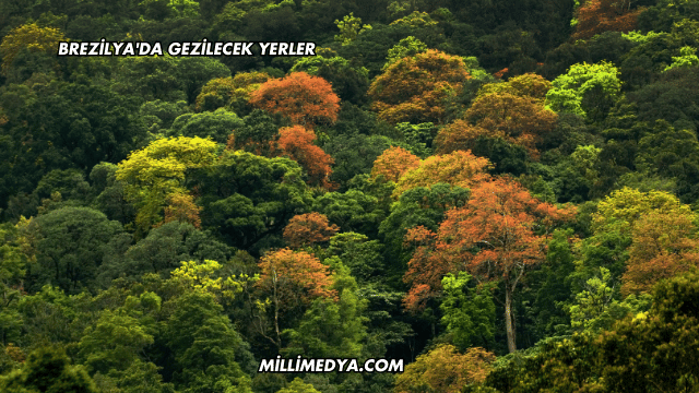 Brezilya'da Gezilecek Yerler