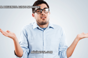 CİMER Beklemeye Alındı Ne Demek?