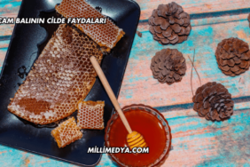 Çam Balının Cilde Faydaları