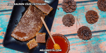 Çam Balının Cilde Faydaları