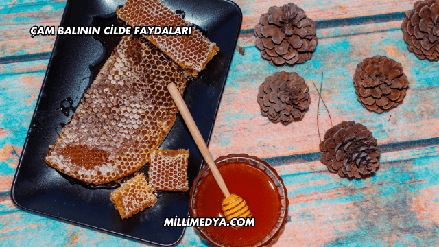 Çam Balının Cilde Faydaları