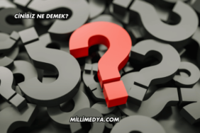 Cinibiz Ne Demek?