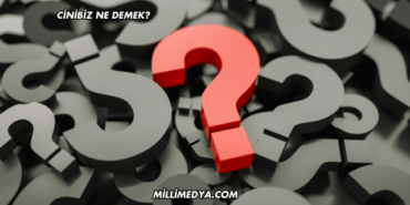 Cinibiz Ne Demek?