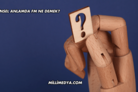 Cinsel Anlamda FM Ne Demek?