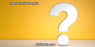 Cinsel Dürtü Ne Demek?