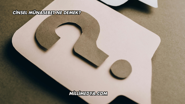 Cinsel Münasebet Ne Demek?
