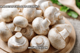 Çıntar Mantarı Faydaları Nelerdir?