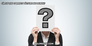 Circle the Correct Picture Ne Demek?