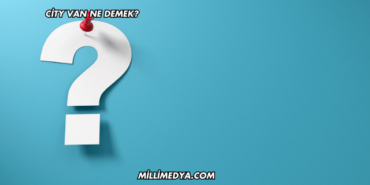 City Van Ne Demek?