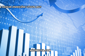DMR Katılım Endeksine Uygun mu?