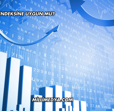 DMR Katılım Endeksine Uygun mu?