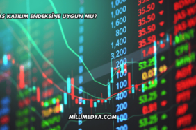 DOAS Katılım Endeksine Uygun mu?