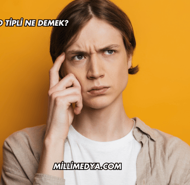 Dacia SD Tipli Ne Demek?