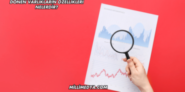Dönen Varlıkların Özellikleri Nelerdir?