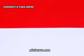 Endonezya Para Birimi