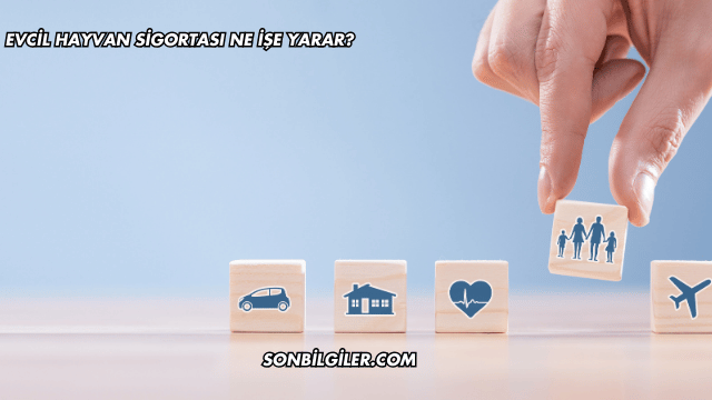 Evcil Hayvan Sigortası Ne İşe Yarar?