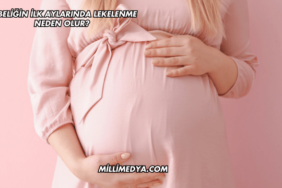 Gebeliğin İlk Aylarında Lekelenme Neden Olur?