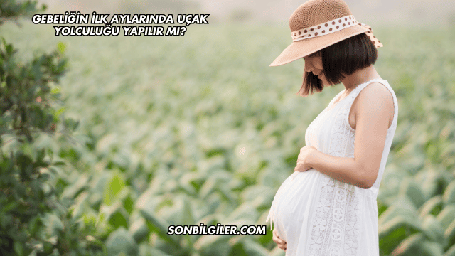 Gebeliğin İlk Aylarında Uçak Yolculuğu Yapılır mı?