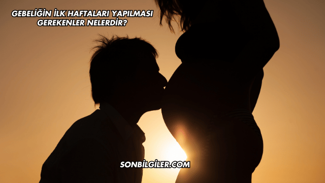 Gebeliğin İlk Haftaları Yapılması Gerekenler Nelerdir?